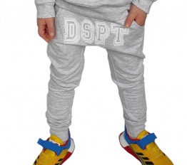 Spodnie Despacito DSPT szare