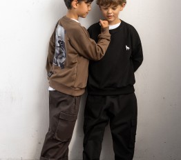 MashMnie With Wolves Drop 2 Bluza Wolf brązowa