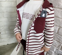 Bluza Despacito w paski na zamek burgund