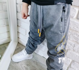 Spodnie dekatyzowane 899 szare