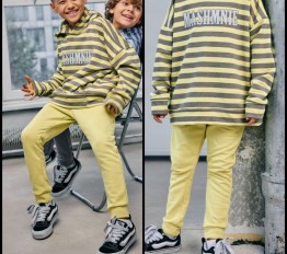 MashMnie Shadow Wolf Drop 2 Spodnie Dresowe Wolf Żółte