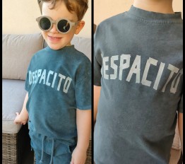 T-Shirt Despacito dekatyzowany Classic mineral