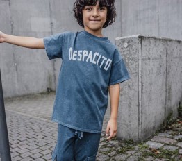 T-Shirt Despacito dekatyzowany Classic mineral